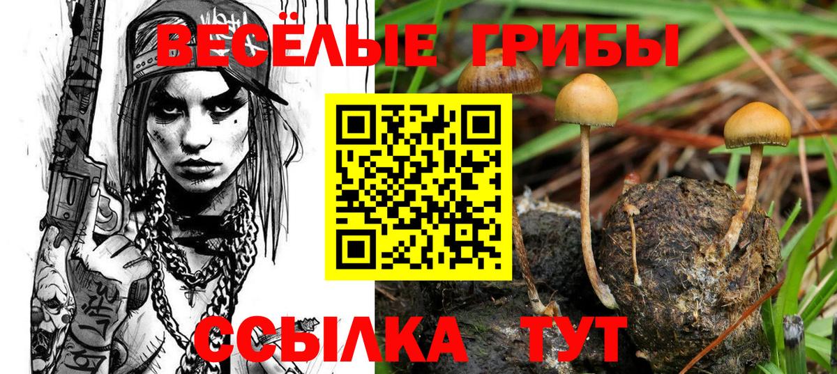 Псилоцибиновые грибы мицелий  Вход с VPN  Галлюциногенные грибы ЛСД  Арсеньев 